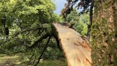 НЕВРЕМЕ ОСТАВИЛО ПУСТОШ У КРАГУЈЕВЦУ: Ветар чупао дрвеће,гром ударио у бандеру и изазвао пожар