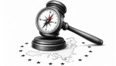 ВЕНЕЦИЈАНСКА КОМИСИЈА: Активности, методе рада и процедуре
