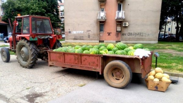 ПРОДАЈА ЛУБЕНИЦА: У Пожаревцу и Костолцу одређене 24 локације
