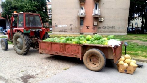PRODAJA LUBENICA: U Požarevcu i Kostolcu određene 24 lokacije