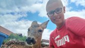 У ПОЖЕГИ ДРУГУЈУ ДЕЧАК И ЛАНЕ: Из шаке соли родила се љубав између Богдана и младе животиње (ФОТО)