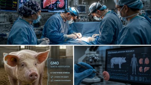 REVOLUCIJA U MEDICINI: Čoveku prvi put presađeni organi genetski modifikovane svinje