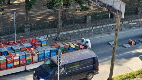 НАПАЛЕ СУ ЉУДЕ, ИЗБОДЕНА И ДЕЦА Ужас у Краљеву: Кошнице испале из камиона, пчеле угрозиле грађане