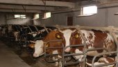 ПОДСТРЕК О(П)СТАНКУ НА СЕЛУ: Краљевчани и ове године настављају са значајним улагањима у аграр