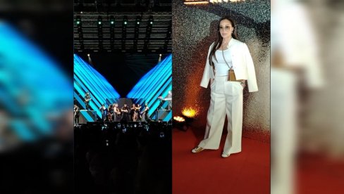 UŽIVA U HITOVIMA RIKIJA MARTINA: Ceca Ražnatović u prvom redu na koncertu latino zvezde (FOTO)
