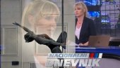 Voditeljka Dnevnika, ples oko šipke i sve njene plastične operacije (FOTO)