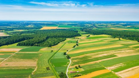 PERIOD NEIZVESNOSTI NA TRŽIŠTU ŽITARICA: Šta je gore za ratare, vremenske nepogode ili svetska politika?