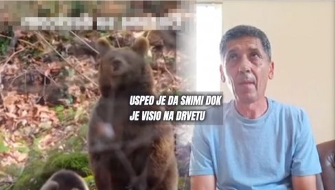 Pecaroš iz Srbije sat vremena VISIO NA DRVETU BEŽEĆI OD MEDVEDA: Krenuo na Jasenicu u ribolov, a onda sam čuo urlanje