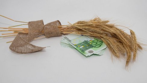ОВО СУ СВЕ СУБВЕНЦИЈЕ РЕАЛИЗОВАНЕ ОД ПОЧЕТКА ГОДИНЕ, А ЕВО ШТА СЛЕДИ: Држава помаже пољопривреднике!