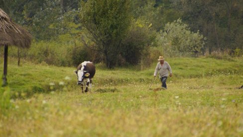 CENE POLJOPRIVREDNOG ZEMLJIŠTA STABILNE: Evo gde je zemlja najjeftinija, a gde najskuplja