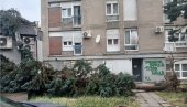 OLUJA PROTUTNJALA LOZNICOM: Kidala stabla, nosila krovove
