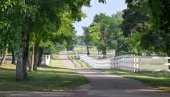 ВОЈВОДИНА СВЕ ПОЖЕЉНИЈА ТУРИСТИЧКА ДЕСТИНАЦИЈА:  Број ноћења већи за трећину него лане
