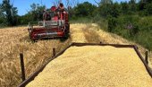 АНАЛИЗА ЗЕМЉИШТА У ПОМОРАВЉУ ПОСЛЕ ЖЕТВЕ: Бесплатно за регистрована пољопривредна газдинства
