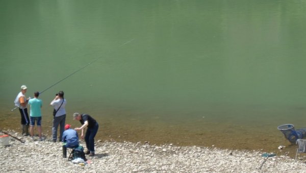 НА ДРИНИ, КОД МАЛОГ ЗВОРНИКА: Затрована вода  убијала рибе