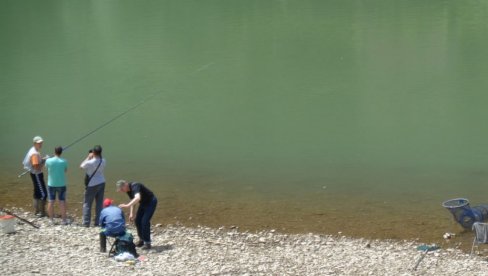 NA DRINI, KOD MALOG ZVORNIKA: Zatrovana voda  ubijala ribe