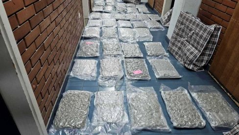 NOVOSADSKA POLICIJA ZAPLENILA 58 KILOGRAMA MARIHUANE: Uhapšen N.K. (29) iz Beograda osumnjičen za trgovinu drogom