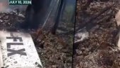SRUŠIO SE AVION, NIKO NIJE PREŽIVEO Jezivo: Od letelice nije ostalo skoro ništa (VIDEO)