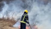 ВАТРЕНА СТИХИЈА ЗАХВАТИЛА БОРОВУ ШУМУ: Избио пожар у специјалном резервату природе Делиблатска пешчара