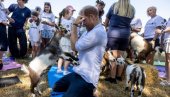 PRINC HARI IMAO NEZGODU SA KOZOM: Mirno je ležao kada je ona skoćila na njega - evo šta je uradio
