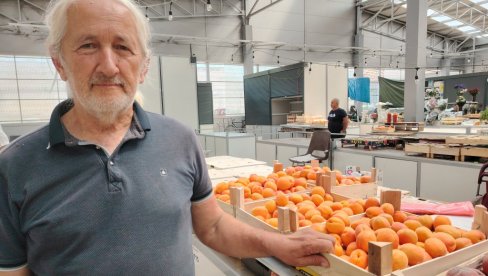 КАЈСИЈЕ УПОСЛИЛЕ ДОМАЋИЦЕ У КИКИНДИ: Кувале пекмез и за наредну годину, продаја троструко већа него лане (ФОТО)