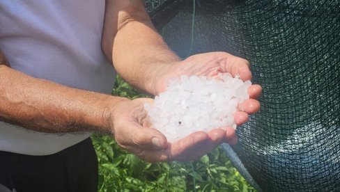 SNAŽNO NEVREME POGODILO PRIJEPOLJE: Grad uništio useve i voćnjake