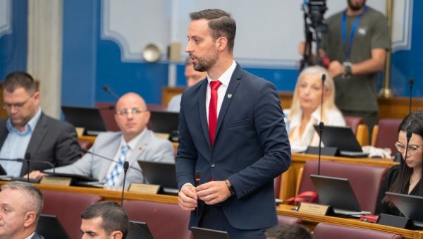 ОТМИЦОМ БИ ДА ЗАПУШЕ УСТА: Посланику Европског савеза прете криминалци због сукоба са министром одбране у Скупштини Црне Горе