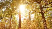 ŠTA ZNAČI KADA SIJA SUNCE NA ARANĐELOVDAN? Narodno verovanje koje je opstalo do danas