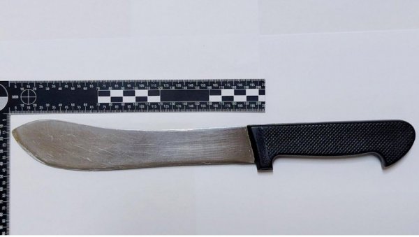 НОВИ СКАНДАЛ БЛОКАДЕРСКЕ СУДИЈЕ: Ксенија Марић одбила да нареди претрес стана осумњиченог за језиве претње председнику Србије