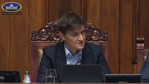 TO NIJE ZVANIČNI STAV REPUBLIKE SRBIJE: Brnabić postavila na mesto Veselinovića posle skandalozne izjave o KiM (VIDEO)