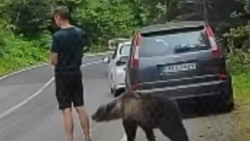 DRAMA U KOMŠILUKU: Medved ga njuši, on nepomično stoji - kada je shvatio ko je iza njega, usledio beg (VIDEO)