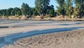 PRESAHNUĆE SVE KAO MORE PANONSKO: Meštani Bezdana i Apatina strahuju da bi mogao biti oboren istorijski rekord niskog vodostaja (FOTO)