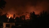 KRALI IZ OPUSTOŠENIH DOMOVA: Velika akcija francuske policije u regionima zahvaćenim požarima