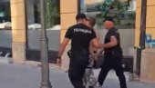 БЛОКАДЕР ХТЕО ДА КОЉЕ И УБИЈА ЉУДЕ НА СНС ШТАНДУ: Полиција у Крагујевцу разоружала монструма (ВИДЕО)